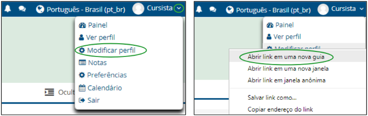 imagem das selees a serem feitas para modificar o perfil 