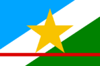 Bandeira do Estado