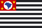 Bandeira do Estado