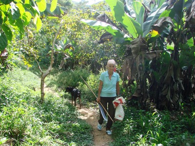 Foto que mostra a dona Juvelina Franco Batista em seu trabalho cotidiano na Comunidade de Remanescentes de de Quilombos Areia Branca, municpio de Bocaiva do Sul - PR.
<br /><br />
Foto: Clemilda Santiago Neto