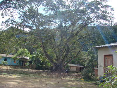 Foto que mostra a vista do ptio central na Comunidade de Remanescentes de de Quilombos Areia Branca, municpio de Bocaiva do Sul - PR.
<br /><br />
Foto: Clemilda Santiago Neto