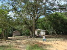 Foto que mostra a vista do ptio central na Comunidade de Remanescentes de de Quilombos Areia Branca, municpio de Bocaiva do Sul - PR. <br /><br /> Foto: Clemilda Santiago Neto