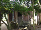Foto que mostra a vista do ptio central na Comunidade de Remanescentes de de Quilombos Areia Branca, municpio de Bocaiva do Sul - PR. <br /><br /> Foto: Clemilda Santiago Neto