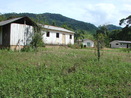 Foto que mostra a vista do ptio central na Comunidade de Remanescentes de de Quilombos Areia Branca, municpio de Bocaiva do Sul - PR. <br /><br /> Foto: Clemilda Santiago Neto