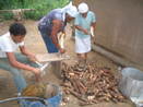 Foto mostra a produo da farinha de mandioca na comunidade quilombola Joo Sur. <br /><br /> Foto: Clemilda Santiago Neto