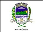 Borrazpolis
