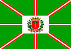 Artigo 6 - A Bandeira Municipal ser oitavada, em cor verde, formando as oitavas figuras geomtricas trapezoidais, constitudas por oito faixas vermelhas carregadas por oito faixas brancas, dispostas duas a duas no sentido horizontal, vertical em banda e em barra, que partem de um retngulo branco central, onde  plicado o braso.   nico - O Braso no centro da Bandeira simboliza o Governo Municipal e o retngulo no qual  aplicado representa a prpria cidade sede do Municpio. As faixas simbolizam o Poder Municipal que se expande  todos os quadrantes do territrio e as oitavas (figuras geomtricas trapezoidais) assim constitudas, representam as propriedades rurais existentes no territrio municipal.  Artigo 7 - Em conformidade s regras herldicas, nas reprodues, a Bandeira ter as dimenses oficiais adotadas para a Bandeira Nacional, levando-se em considerao nove mdulos de altura por treze de comprimento.   nico - A Bandeira Nacional poder ser reproduzida em bandeirolas de papel nas comemoraes de efemrides, obedecendo-se sempre, os mdulos e cores herldicas.   