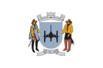 A bandeira foi baseada na de Portugal e tem no campo branco o Braso de Armas. No braso h a figura de um escudo redondo portugus de cor azul com o desenho de um canho na cor bronze e uma coroa na cor prata que representa a cidade. Os dois homens de cada lado do escudo representam os tropeiros que povoaram a cidade. A data abaixo na faixa inferior representa a primeira missa realizada no dia da fundao da cidade.