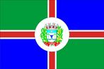 Dividida em quatro partes, formando uma cruz, lembrando o smbolo e o esprito cristo do povo. O braso aplicado na Bandeira Municipal representa o Governo do Municpio e o crculo branco onde  contido representa a prpria cidade, sede do municpio. As faixas brancas com faixas vermelhas por cima representam o Poder Municipal que se estende por todo o territrio. H partes de cores alternadas de verde e azul. As azuis representando as propriedades rurais e as verdes lembrando os campos verdejantes na primavera fazendo esperar copiosa colheita.