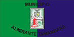 A bandeira de Almirante Tamandaré tem, na cor verde, a representação das riquezas naturais do município. O azul faz referência ao céu. Ao centro da bandeira figura o brasão do município.