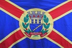 Bandeira do municpio de Rondon-PR