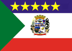 Bandeira do municpio de Sulina-PR