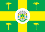 Bandeira do municpio de Jaguariava