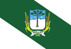 Bandeira do municpio de Mallet-PR