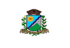 Bandeira do município de Santo Antônio da Platina