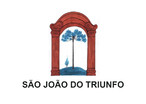 Bandeira do município de São João do Triunfo