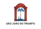 Bandeira do municpio de So Joo do Triunfo