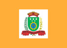 Bandeira do municpo de Barbosa Ferraz