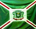O Braso aplicado na Bandeira do Municpio representa o governo municipal, e o retngulo, onde est contido, representa a prpria cidade, sede do municpio. A cor branca  smbolo da paz, amizade, trabalho e prosperidade. As faixas brancas carregadas de sobre faixas vermelhas representam a irradiao do poder municipal que se expande a todos os quadrantes do territrio. A cor vermelha a dedicao, a coragem, a valentia. As partes verdes representam as prosperidades rurais existentes no territrio. A cor verde simboliza a honra, abundncia e esperana.