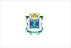 A Bandeira de Cascavel foi instituda pela Lei Municipal 5.225, de 2009, que tornou definitiva a bandeira provisria, de 1963.Observa as dimenses da Bandeira Nacional, de cor branca, com o escudo de armas de Cascavel ao centro.A descrio do escudo se deu pela lei municipal 243, de 9 de outubro de 1963.