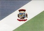 A bandeira do municpio de Flor da Serra do Sul foi desenvolvida no ano de 1980 pelo prefeito Joo Pedro, as cores verde, azul e branca simbolizam a natureza e a riqueza da regio.