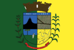 A Bandeira de Ibipor tem as cores verde e amarela e no seu centro, o Braso do Municpio.Na parte superior do braso h uma frase latina "Pax et Labor", que significa Paz e Trabalho. Na parte central, o escudo tem os seguintes smbolos:   - Um motivo natural: representado pelo Morro do Guarani;  - Um motivo econmico: representado por fazendas de caf, cortadas por estradas;  - Um motivo de situao: representado por um pinheiro araucria (que representa o Estado do Paran) e um homem lavrando a terra;  - Um motivo primordial: que mostra os ribeires que cortam o Municpio.  Contornando o braso, existe  esquerda um ramo de caf frutificado e  direita um ramo de milho como representantes da economia municipal. O braso  coroado por um mural dourado. Em sua parte inferior, possui uma faixa em vermelho com o nome de Ibipor e a data da instalao oficial do Municpio: 08/11/1947.   