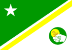 A bandeira apresenta-se em trs cores, o VERDE do tringulo  a natureza vegetal, na rea do Municpio e em seu estado primitivo e  ainda a esperana. O BRANCO traz a mensagem da paz, tambm representa as bases sobre as quais se constri uma sociedade coesa e sadia. O AMARELO representa as riquezas naturais com que Pato Branco foi agraciada,  tambm o progresso, coragem e f inabalveis. (Lei Municipal 655/86)