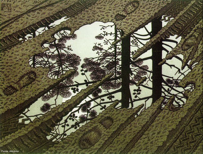 Puddle é uma xilogravura do artista holandês M. C. Escher, impressa pela primeira vez em fevereiro de 1952.
Desde 1936, o trabalho de Escher se concentrava em primeiro lugar nos paradoxos, na tesselação e em outros conceitos visuais abstratos. Esta gravura, porém, é uma representação realista de uma imagem simples que mostra duas perspectivas em uma só. Ela apresenta uma estrada não pavimentada com uma grande poça d´água no meio, sob o lusco-fusco. Virando o quadro de cabeça para baixo e focalizando especificamente no reflexo na água, essa área da gravura passa a mostrar uma floresta com uma lua cheia no céu. A estrada é de terra fofa, lamacenta, e veem-se nela dois tipos distintos de marcas de pneus, dois pares de pegadas indo em direções opostas, e duas marcas de bicicleta. Com isso, Escher capturou três elementos diferentes: a água, o céu e a terra.
<br>
<br>
Palavras-chave: Datas Especiais. Meio Ambiente. Escher. Pegadas. Água. Céu. Terra